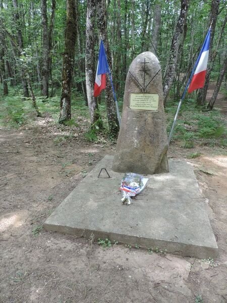 144.jpg
