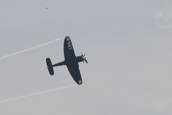 146.jpg