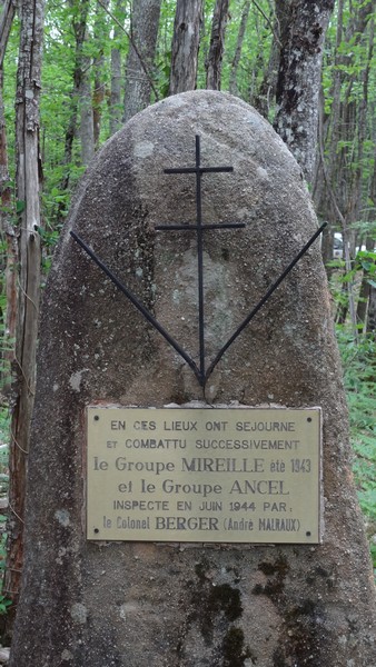 186.jpg