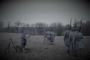 DSC01378.jpg