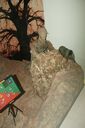 DSC01994.jpg