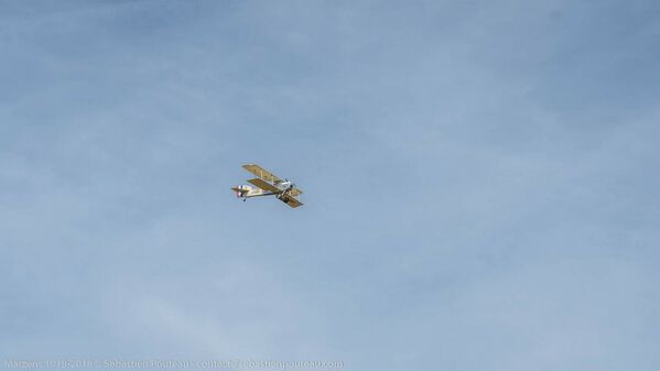 DSC08103.jpg