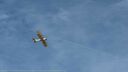 DSC08183.jpg